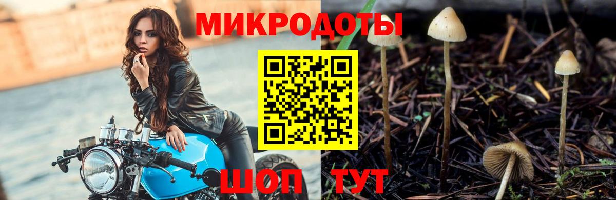 Черемхово  Псилоцибиновые грибы мухоморы  Вход с VPN  Псилоцибиновые грибы Psilocybe 